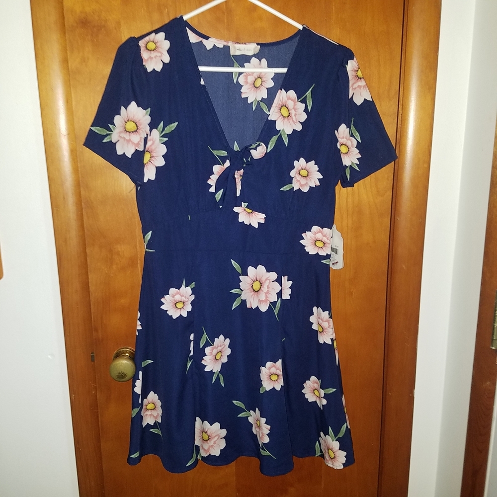 Altar'd State Blue and Pink Floral Dress